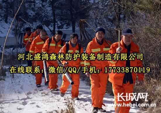 【手推式路面吹风机/手提式风力灭火机/便携式吹风机厂家】价格,厂家,自然灾害防护产品-搜了网